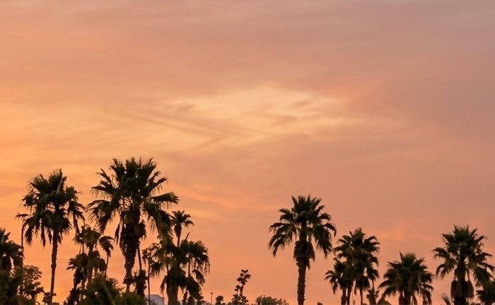 Pink California sky